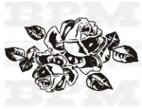 /album/fotogaleria-kvety-stromy/kvety-51-jpg/